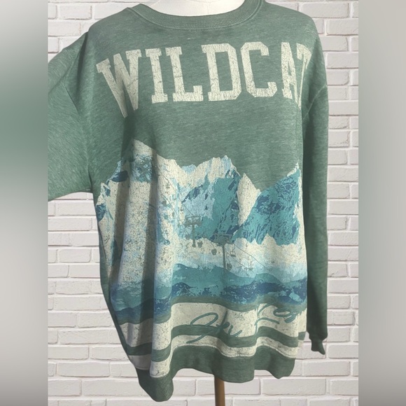 Vinyl Icons Tops - WILDCAT Green Graphic Pullover Sweatshirt